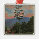 Recherche de siècle ornements Fleur