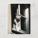 Recherche de katz cartes postales Café