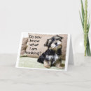 Recherche de schnauzer christmas vœux cartes Chien