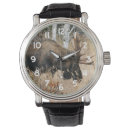 Search for wild watches animals