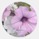 Search for rounded photography For her