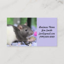 Recherche de rat cartes visite Rongeur
