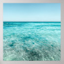 Search for turquoise blue posters Summer