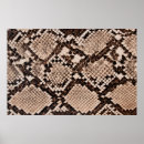 Search for python posters Texture