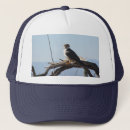 Search for falconry hats Raptor