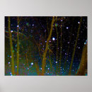 Search for winter night scene posters Trees