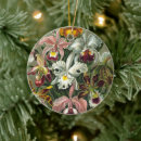 Search for orchid ornaments flowers