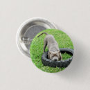 Search for toy dog buttons Animal
