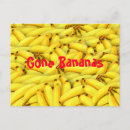 Recherche de joke cartes postales Funny