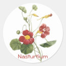 Search for nasturtium stickers Botanical