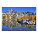 Search for enchanted forest posters Autumn