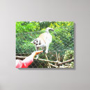 Search for ring canvas prints Animal