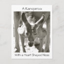 Recherche de marsupial cartes postales Animaux
