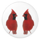Recherche de oiseau rouge boutons et poignées de porte Animaux