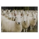 Search for sheep cutting boards Lamb