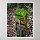 Recherche de souche posters Arbre