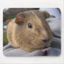 Search for guinea pig mousepads Cavy