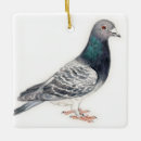 Recherche de pigeon ornements Animal