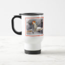 Search for woodpecker mugs Red bellied woodpecker