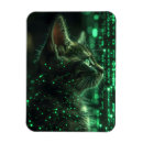 Search for awesome rectangular magnets Cool