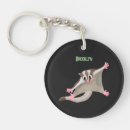Search for glider keychains Cartoon