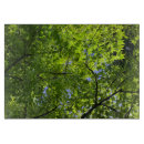 Recherche de printemps planches à découper Été