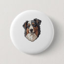 Recherche de chiens de berger australiens badges Weimaraner
