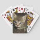 Recherche de yeux bleus jeux de cartes Amoureux des chats