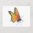 Recherche de papillon de monarque cartes postales Été