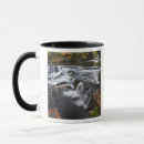 Search for upper peninsula mugs River