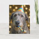 Search for funny irish birthday cards Dog