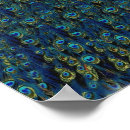 Search for vintage wallpaper posters Birds