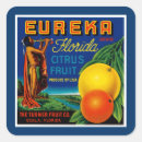 Search for vintage florida oranges stickers Retro ads