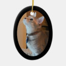 Search for 2 sided photo ornaments Cat