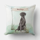 Search for black lab pillows Labrador