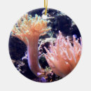 Search for coral ornaments Tree