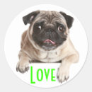 Search for pug puppies stickers Cute