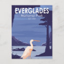 Search for egrets postcards Florida