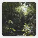 Search for lush foliage stickers Forest