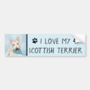 Search for scottish bumper stickers Scottie