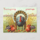 Recherche de dinde thanksgiving cartes postales Citrouille