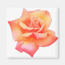 Search for flower magnets Photograph