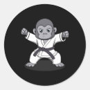 Search for karate fighter stickers Judo