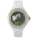 Recherche de photo de cheval montres Animaux