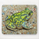Recherche de crapauds tapis souris Vert