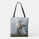 Recherche de cheval courant Pour elle