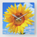 Search for blue and yellow clocks For her