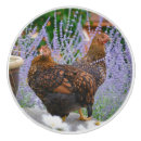 Search for chicken knobs and pulls Fowl