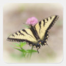 Search for swallowtail stickers Flower