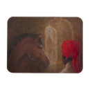 Search for stable magnets Horses